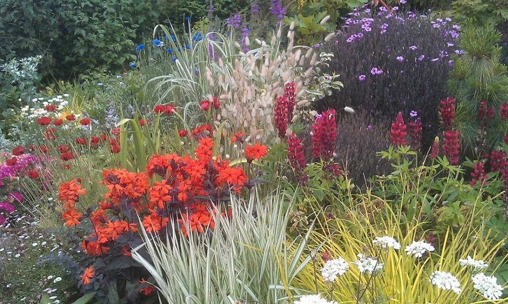 Garden at Great Dixter